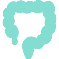Colon Surgery Icon