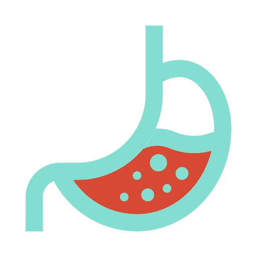 Digestive System Modification 