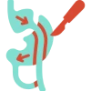 Gastric Bypass Icon