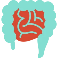 Small Bowel Surgery Icon