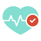 health check Icon